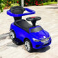 CARRO PASEADOR 3 EN 1