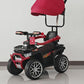 CUATRIMOTO PASEADOR 2 EN 1